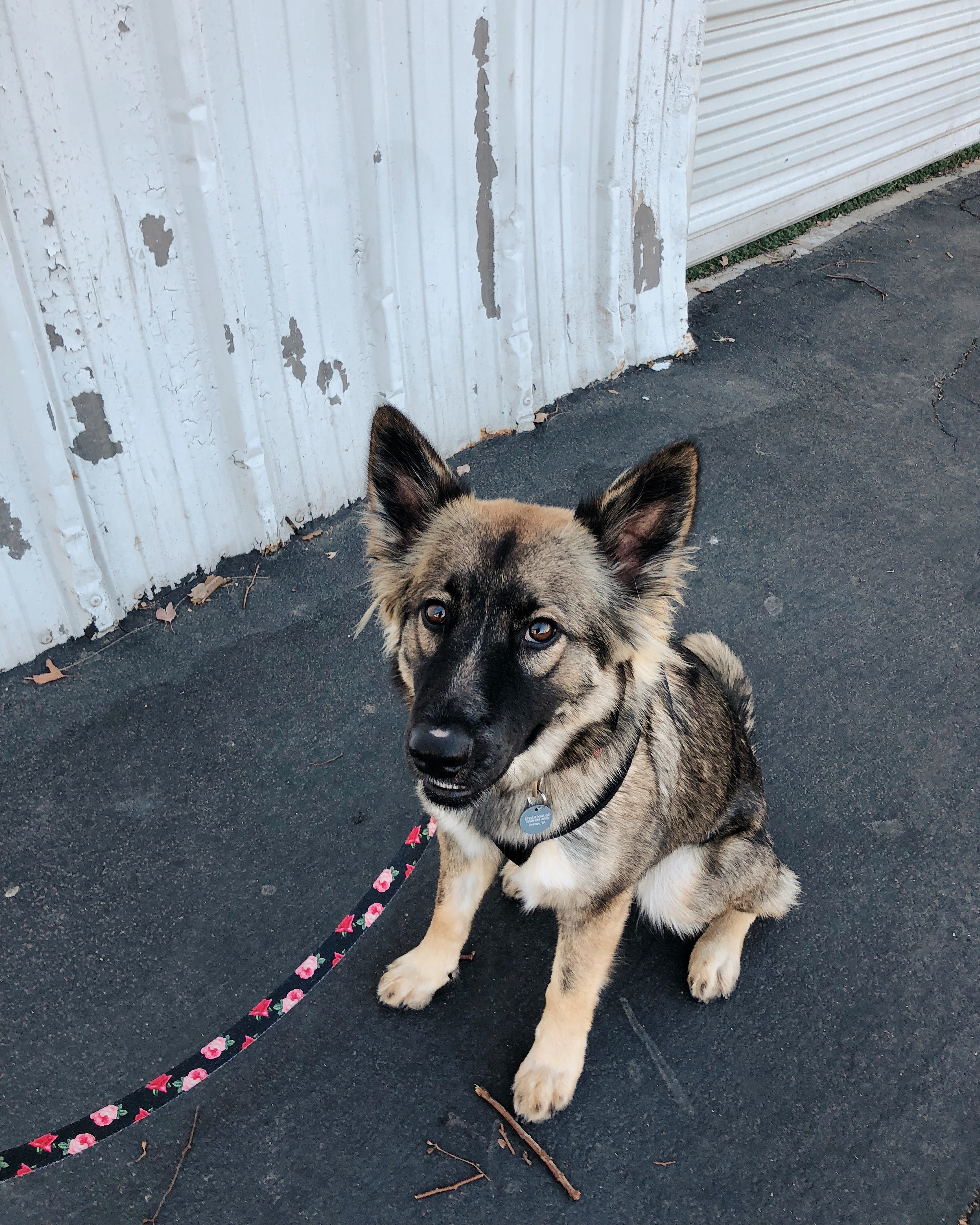 Processed with VSCO with kk1 preset