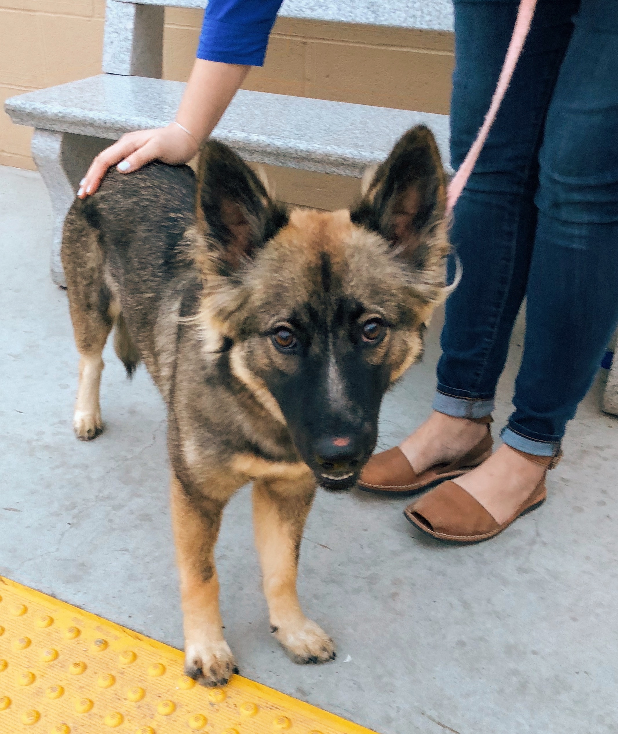 Processed with VSCO with e2 preset